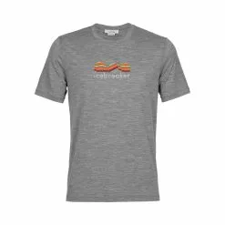 Icebreaker Mens Tech Lite II SS Tee Mountain Geology