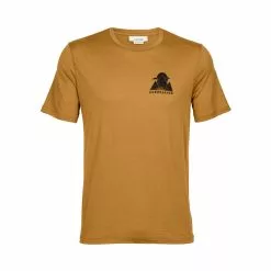 Icebreaker Mens Tech Lite II SS Tee Alp Ascension
