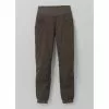 Prana Kanab Pant RG