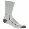 Icebreaker Hike+ Light Crew Socks Men