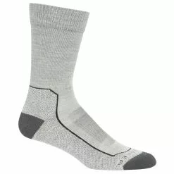 Icebreaker Hike+ Light Crew Socks Men