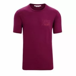 Icebreaker Tech Lite II SS Tee Mountain Sunset Mens